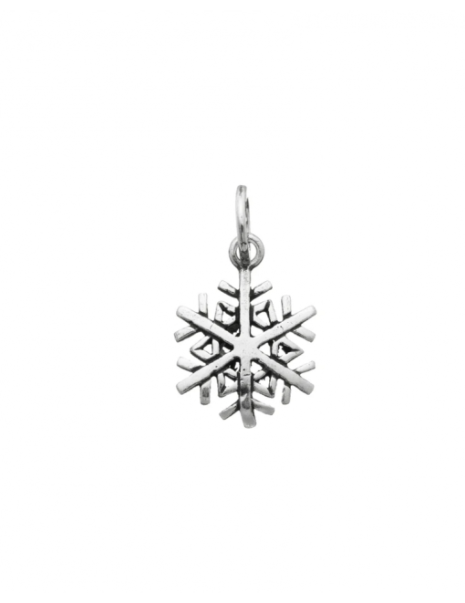 Raspini Charm Fiocco Di Neve 06343